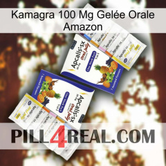 Kamagra 100 Mg Gelée Orale Amazon 12